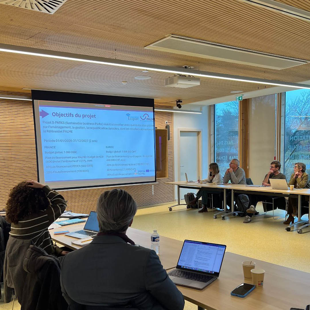 Copil Projet S-PARKS